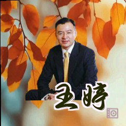 王婷